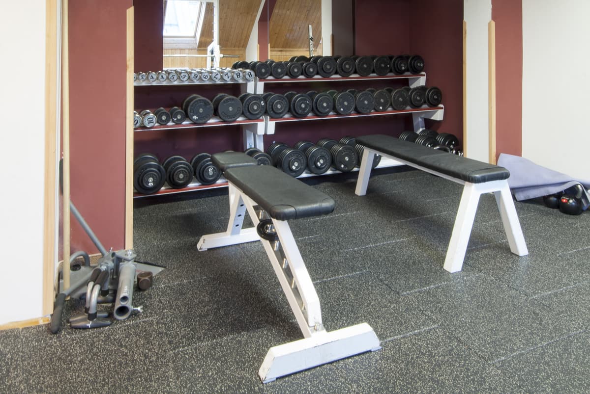 Weights and dumbbells in the gym, arranged on a rack.